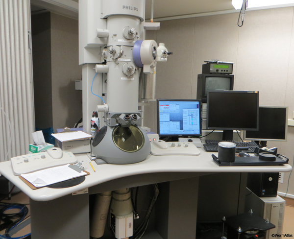 ETFIG 1: Philips Technai 20 transmission electron microscope is used for electron tomography